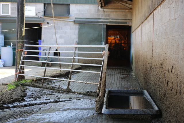 Hoof Bath, Bosley Mill Farm, Gloucestershire