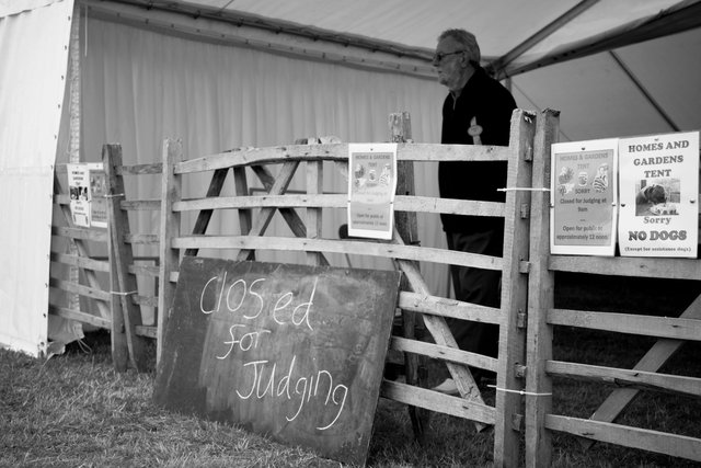 Moreton Show