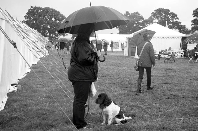Moreton Show