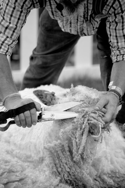 Royal Three Counties Show