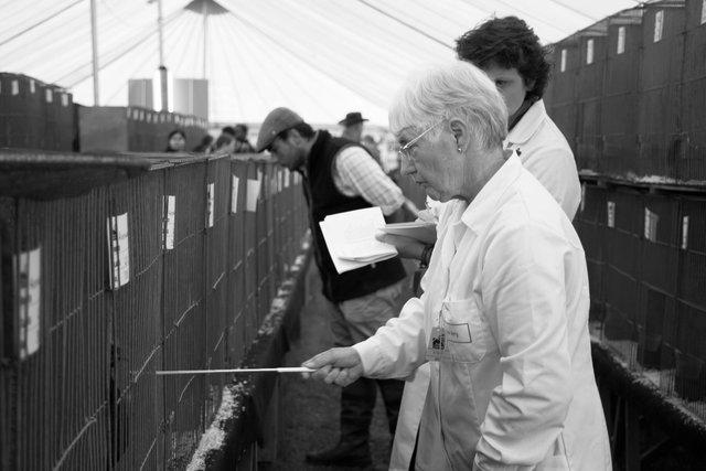 Royal Three Counties Show