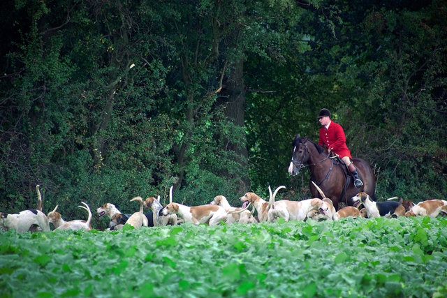 Wheatland Hunt, Autumn Hunting