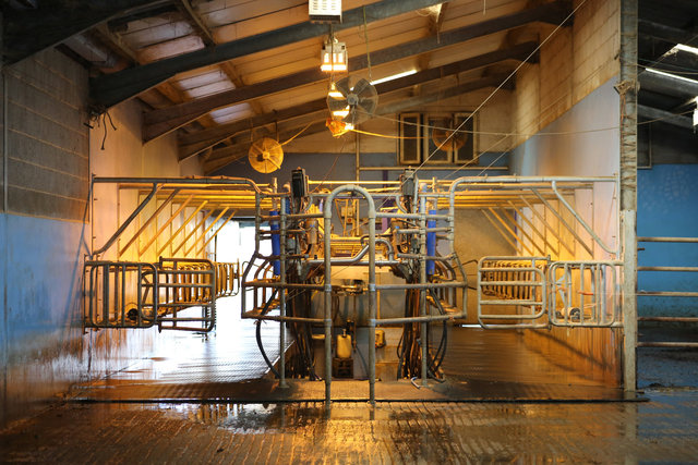 Milking Parlour, Bosley Mill Farm, Gloucestershire