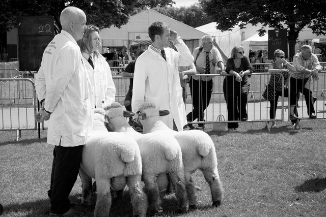 Royal Three Counties Show