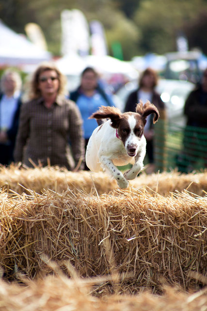 Frampton Country Fair