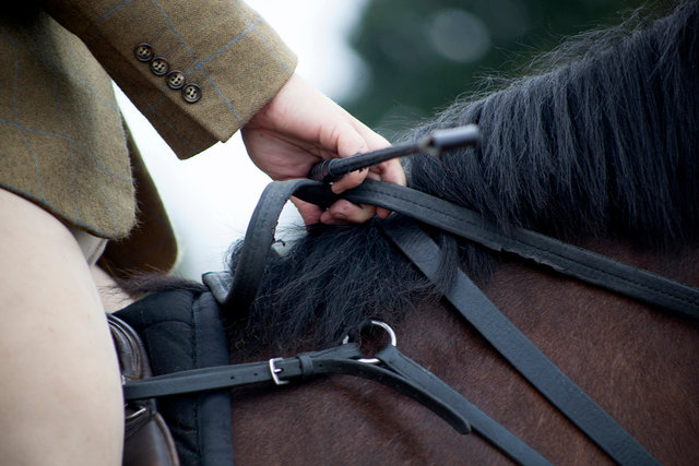 Wheatland Hunt, Autumn Hunting