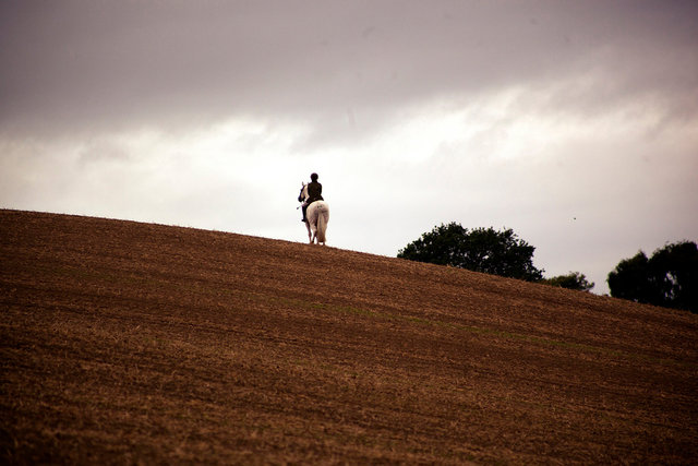 Wheatland Hunt, Autumn Hunting