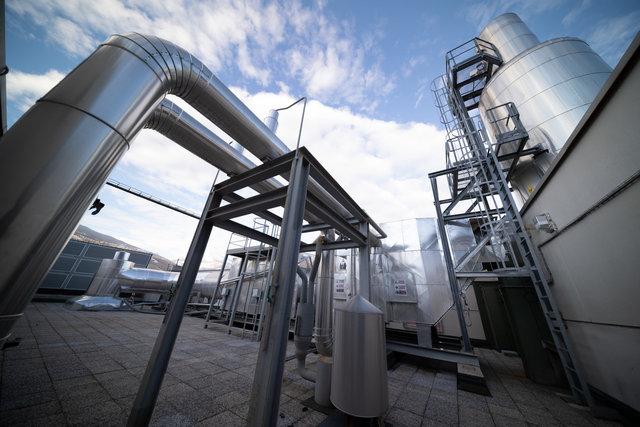 B Conseil Telcha-5114.jpg