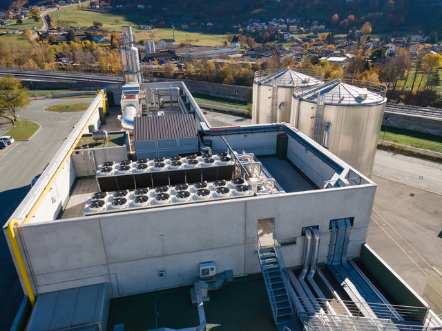 B Conseil Telcha-0009.jpg