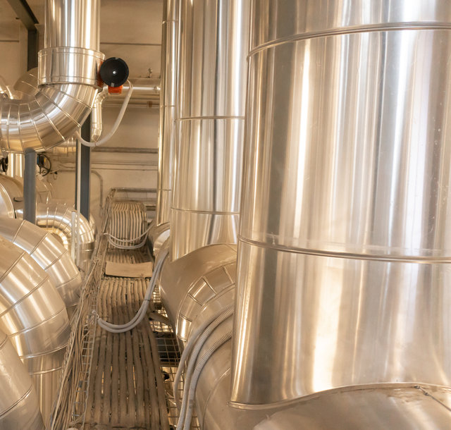 B Conseil Telcha-0821.jpg