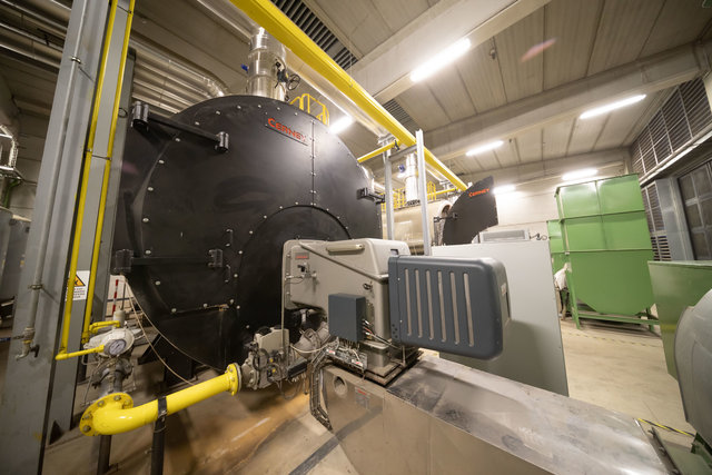 B Conseil Telcha-2203.jpg