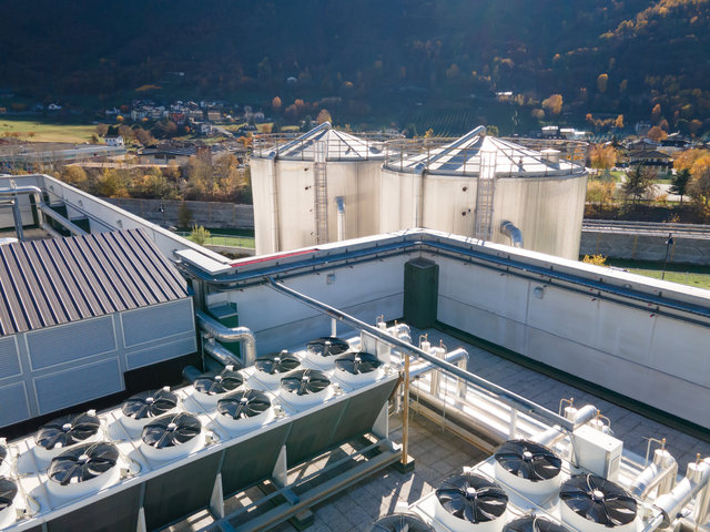 B Conseil Telcha-0016.jpg