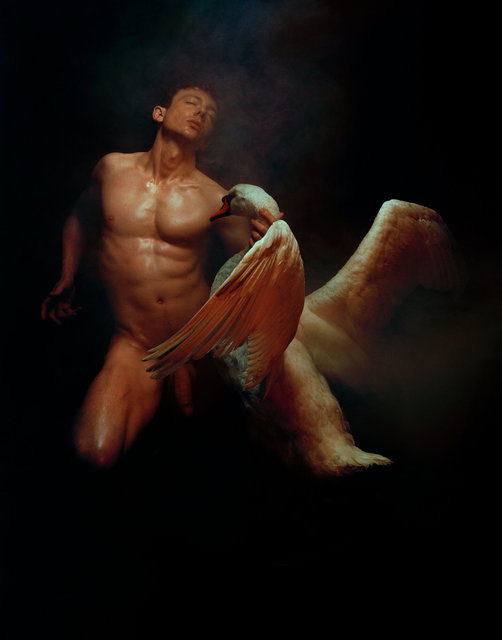 Carmen Cygni XIV ii