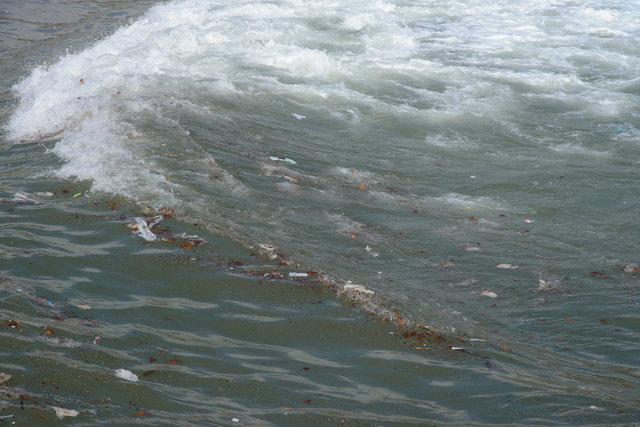 8 DSC_5169 JPG.jpg