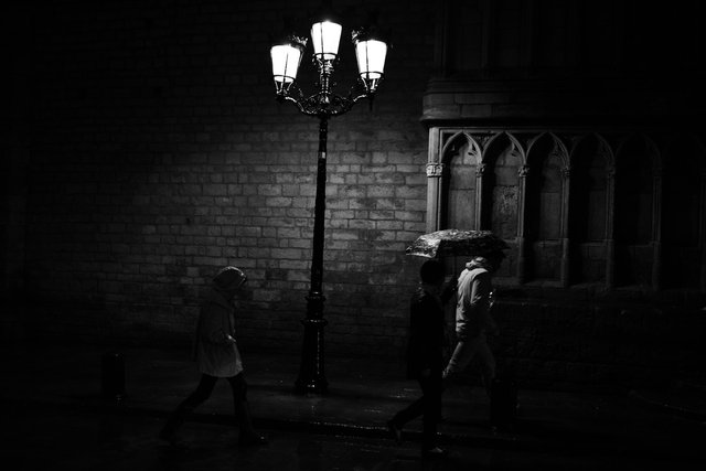 DSC_7423.jpg