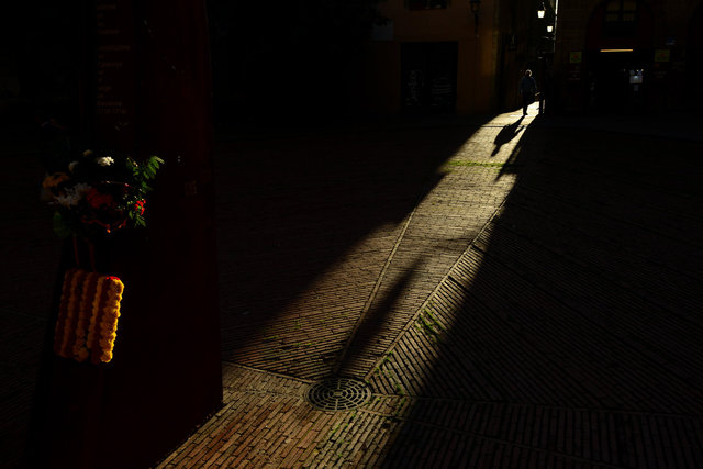 DSC_5935.jpg