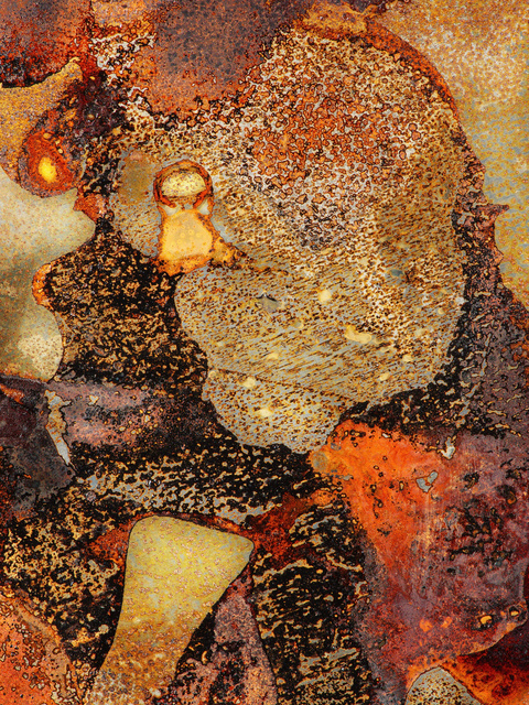 The Dead Angels II
