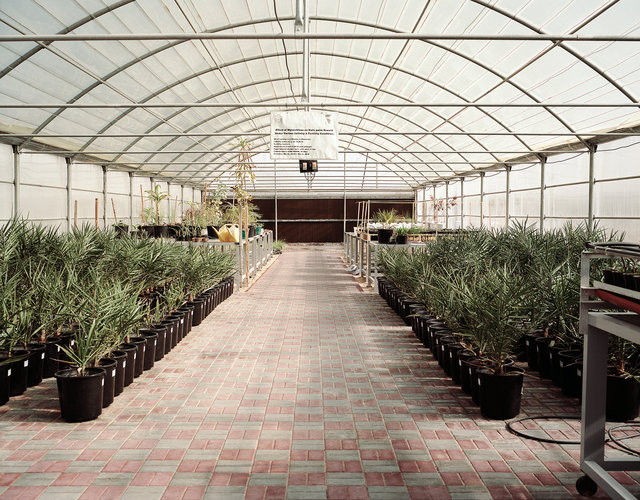 The International Centre for Biosaline Agriculture.  