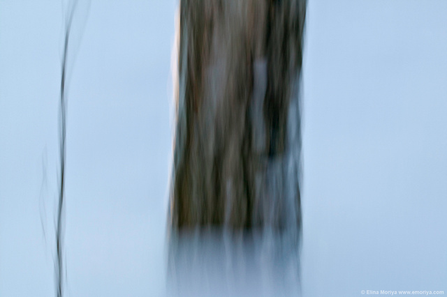 emoriya_homelandscape_web_A_fish_in_the_water_of_multiple_realities.jpg