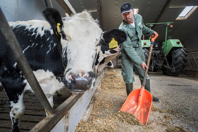 Erik van Oosterhout, melkveehouder, 2019