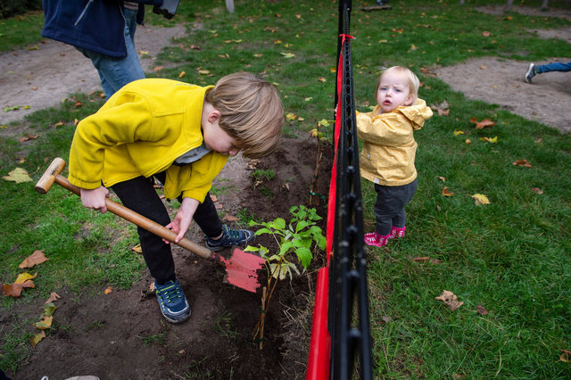 Boompjes planten bij opening Hasselbraampark, Breda, 2021