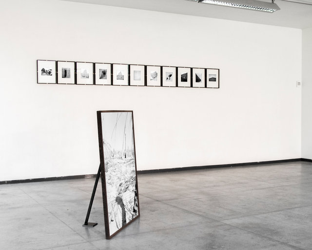 Solo Exhibition, Conference of the Birds, MAP#94,De Glazen Gang, Ghent, Be