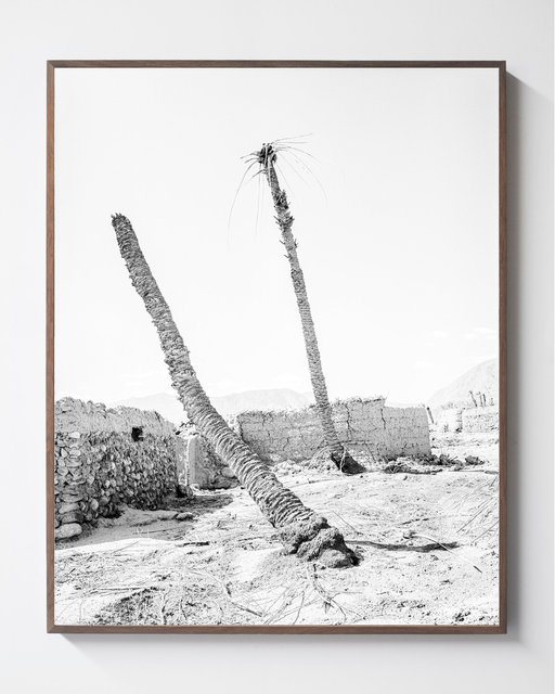 Two Palms, 2019, Archival Pigment Print, 135 cm x 107,8 cm, Ed. 3 + 2AP