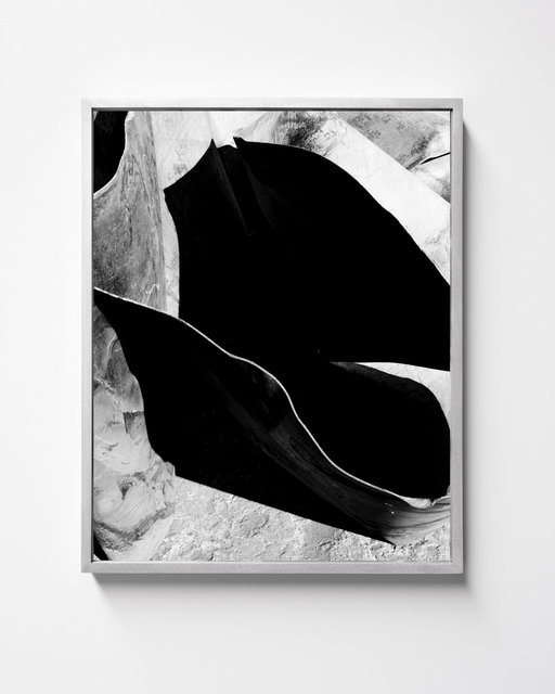 SNDCSTLSRBBSH15, 2021, Archival Pigment Print in Artist Frame, 45 x 36 x 3 cm