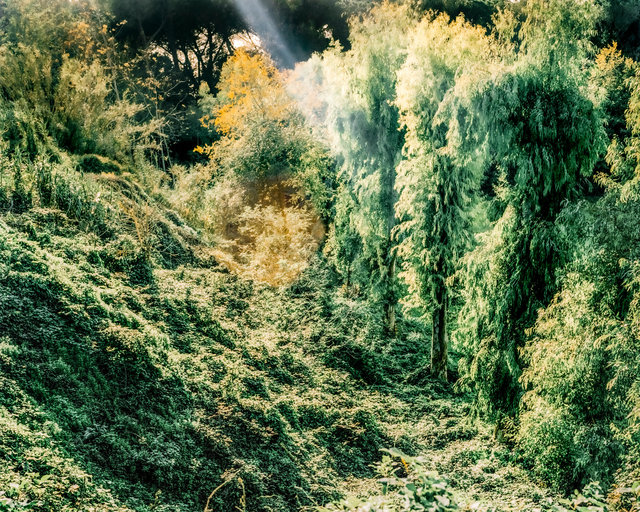 Garden of Eden, 2019, Archival Pigment Print, 98 x 78,4 cm, Ed. 3