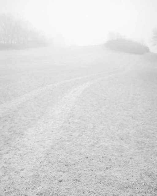 Pathway 02, 2017, Archival Pigment Print, 98 x 78 cm, Ed. 3 + 2AP
