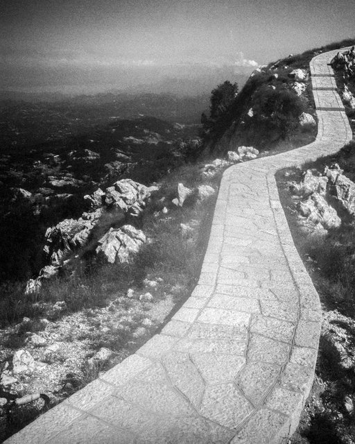 Pathway 01, 2017, Archival Pigment Print, 50 x 40 cm, Ed. 3 + 2AP