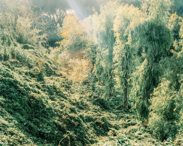 Garden of Eden, 2018, Archival Pigment Print, 98 x 78,4 cm, Ed. 5 + 2AP / Also Available 135 x 107,8 cm, Ed. 3 + 2AP