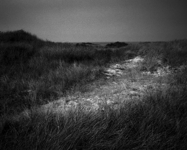 Dunes, 2017, Archival Pigment Print, 50 x 40 cm, Ed. 3 + 2AP
