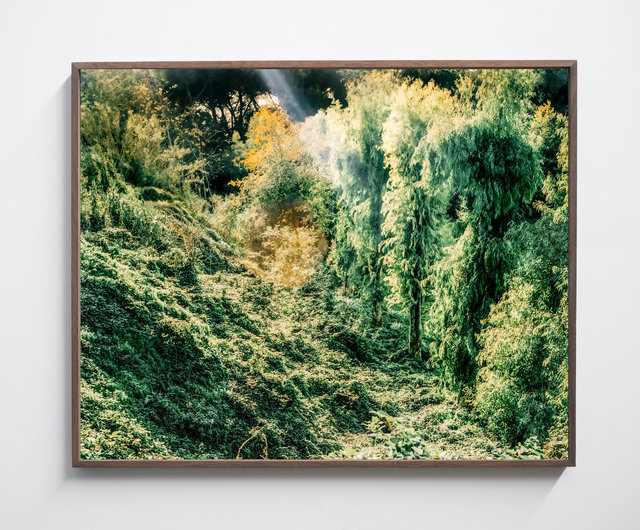 Garden of Eden, 2019, Archival Pigment Print, 98 x 78,4 cm, Ed. 3