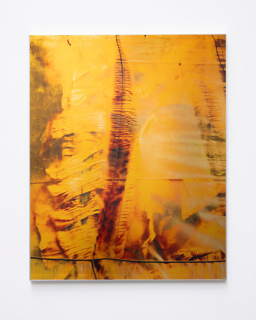 Musa 21, 2023, 100 x 80 x 2 cm, UV print on Brass, Stretcher Bars, Varnish, Aluminium, Screws