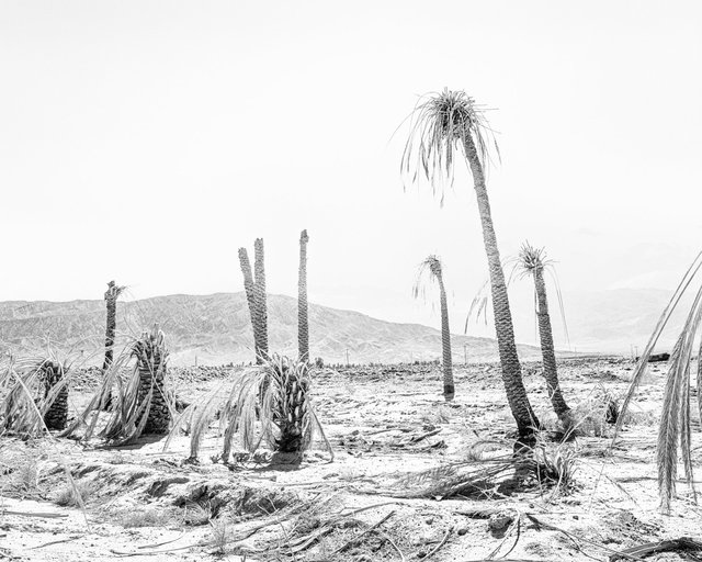 Village View 06, 2019, Archival Pigment Print, 98 cm x 78,4 cm, Ed. 5 + 2AP