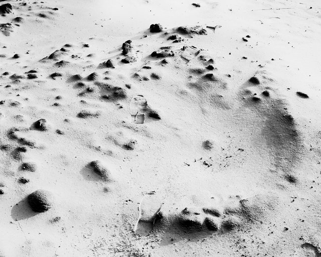 SandcastlesandRubbish_SybrenVanoverberghe-55.jpg