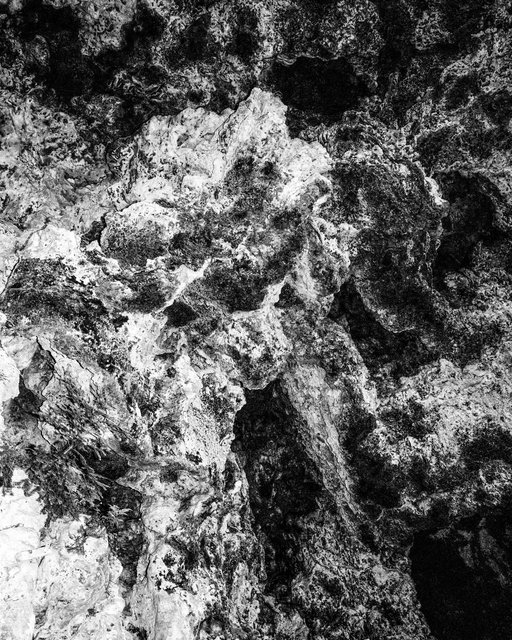 Ash, 2019, Archival Pigment Print, 45 x 36 cm, Ed. 3