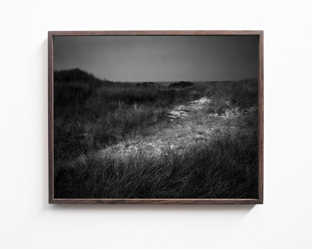 Dunes, 2017, Archival Pigment Print, 50 x 40 cm, Ed. 3 + 2AP