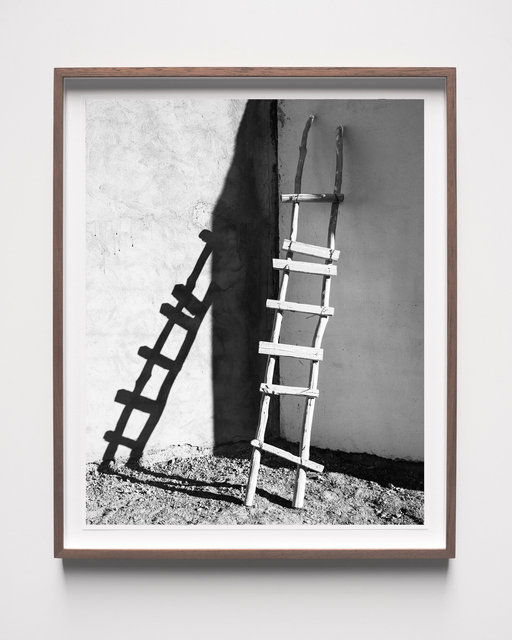 Ladder, 2023, Archival Pigment Print in Artist Frame, 50 x 41 x 3 cm
