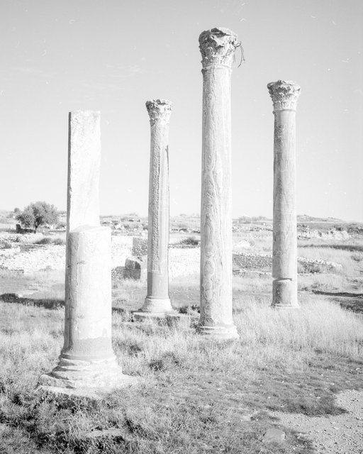 Pillars 03, 2020, Archival Pigment Print, 98 x 78 cm, Ed. 3 + 2AP