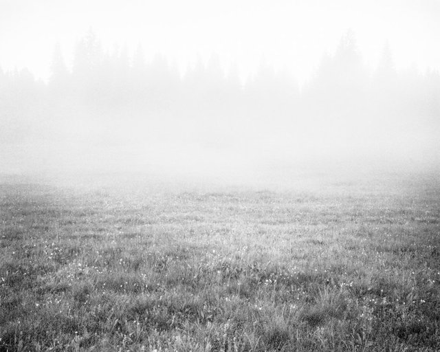 Mist, 2017, Archival Pigment Print, 135 x 108 cm, Unique Piece