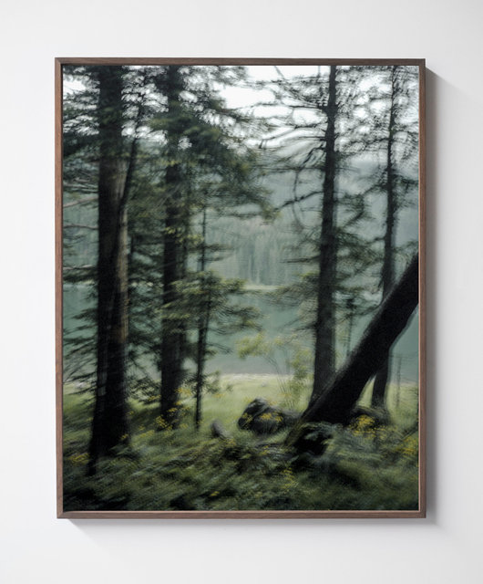 Moving Trees 01, 2017, Archival Pigment Print, 98 x 78 cm, Ed.3 + 2AP