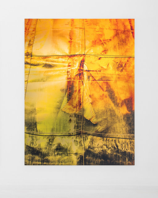 Musa 03, 2023, 150 x 200 x 1,8 cm, UV print on Brass, Stretcher Bars, Varnish, Aluminium, Screws