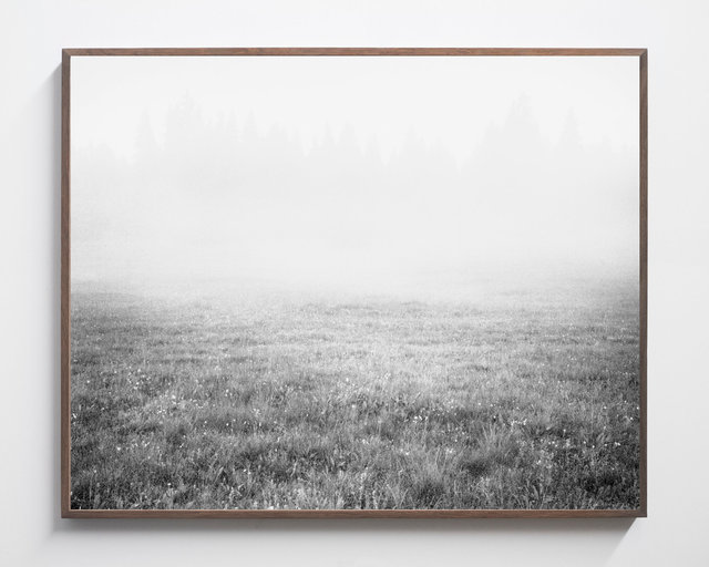 Mist, 2017, Archival Pigment Print, 135 x 108 cm, Unique Piece
