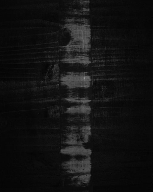 Tree 02, 2020, Archival Pigment Print, 9 x 7,2 cm, Ed.1 + 1AP