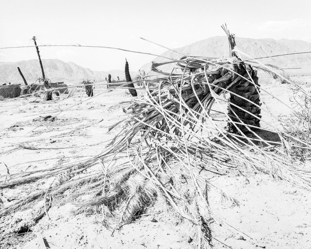 Village View 05, 2019, Archival Pigment Print, 98 cm x 78,4 cm, Ed. 5 + 2AP