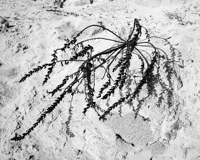 SandcastlesandRubbish_SybrenVanoverberghe-48.jpg
