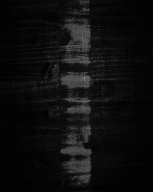 Tree 02, 2019, Archival Pigment Print, 45 x 36 cm, Ed. 3