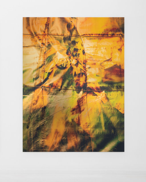 Musa 01, 2023, 150 x 200 x 1,8 cm, UV print on Brass, Stretcher Bars, Varnish, Aluminium, Screws